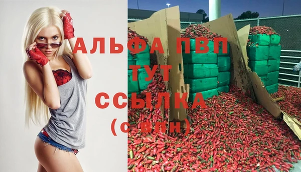 спиды Бронницы