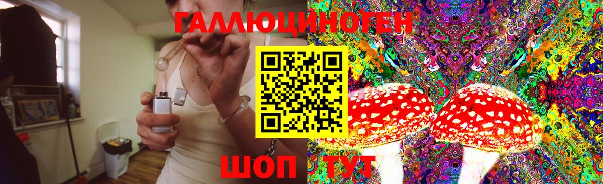 Псилоцибиновые грибы GOLDEN TEACHER  Вход с VPN  Галлюциногенные грибы GOLDEN TEACHER  Соль-Илецк 